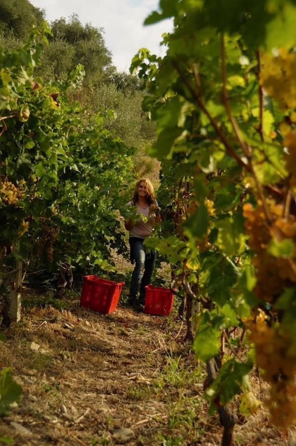 La Casa Del Podere Castellaro  Luaran gambar